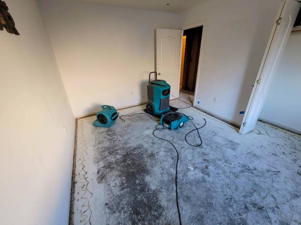 Best Professional water damage repair  in Marvin, NC