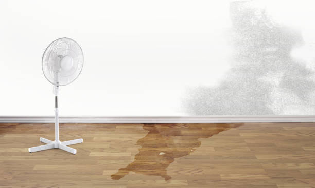 Best Flood damage cleanup  in Marvin, NC