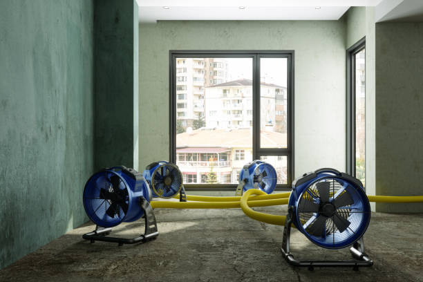 Best Water damage contractors near me  in Marvin, NC